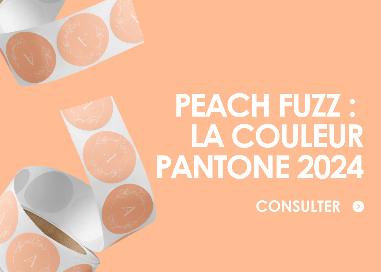 Peach Fuzz : La couleur de l'année 2024
