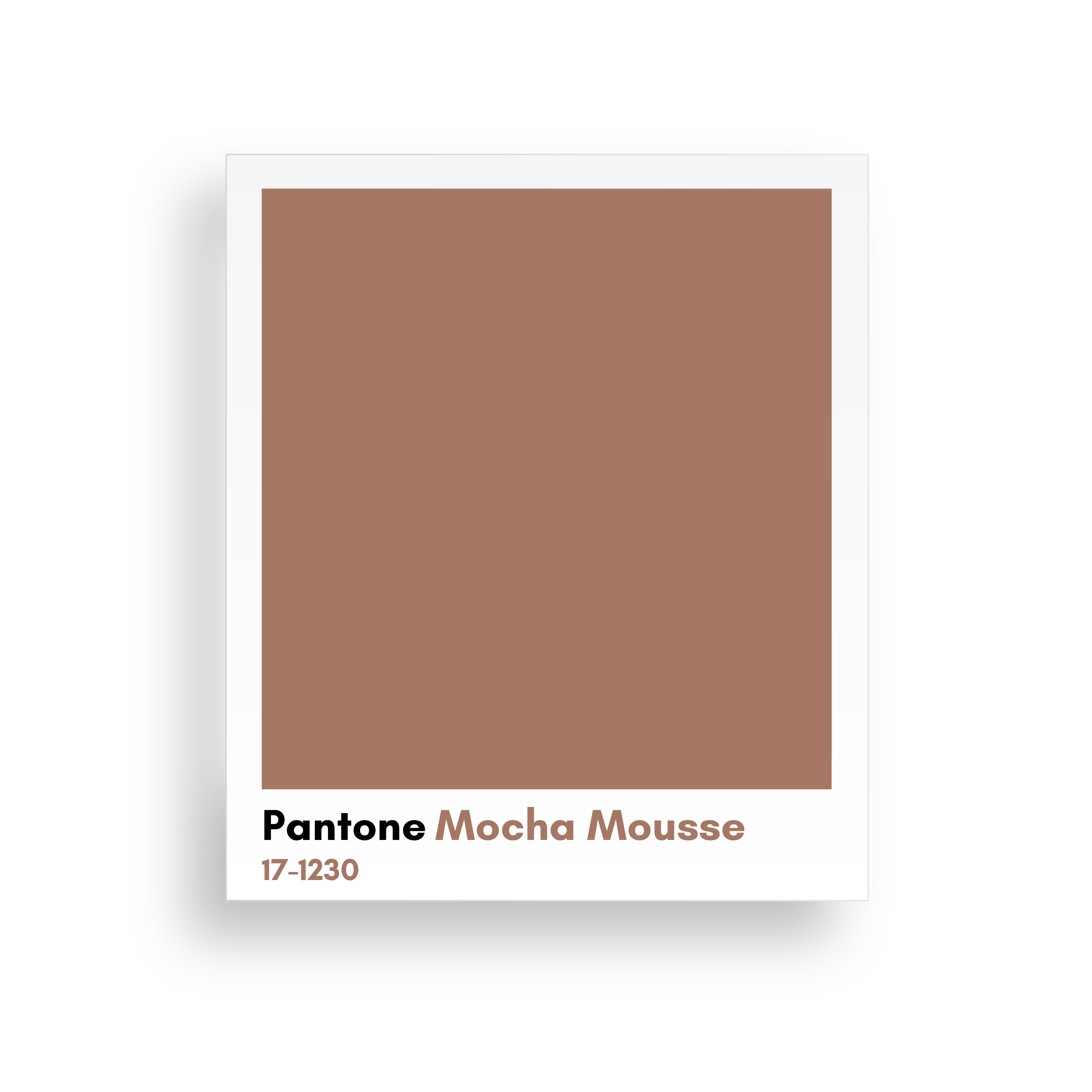 couleur pantone 2025​