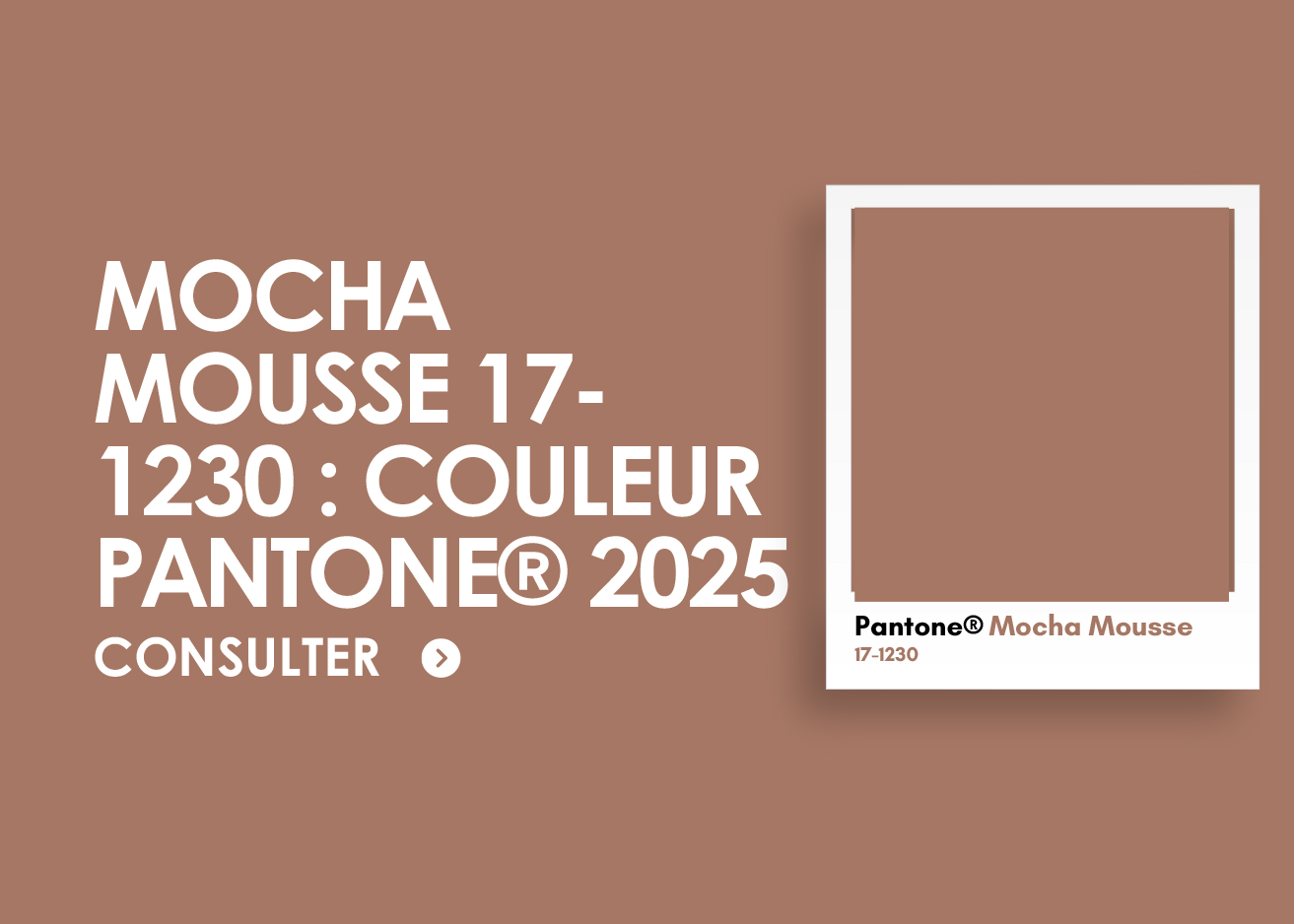 couleur 2025 pantone​